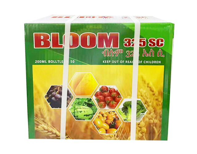 bloom紙箱設(shè)計