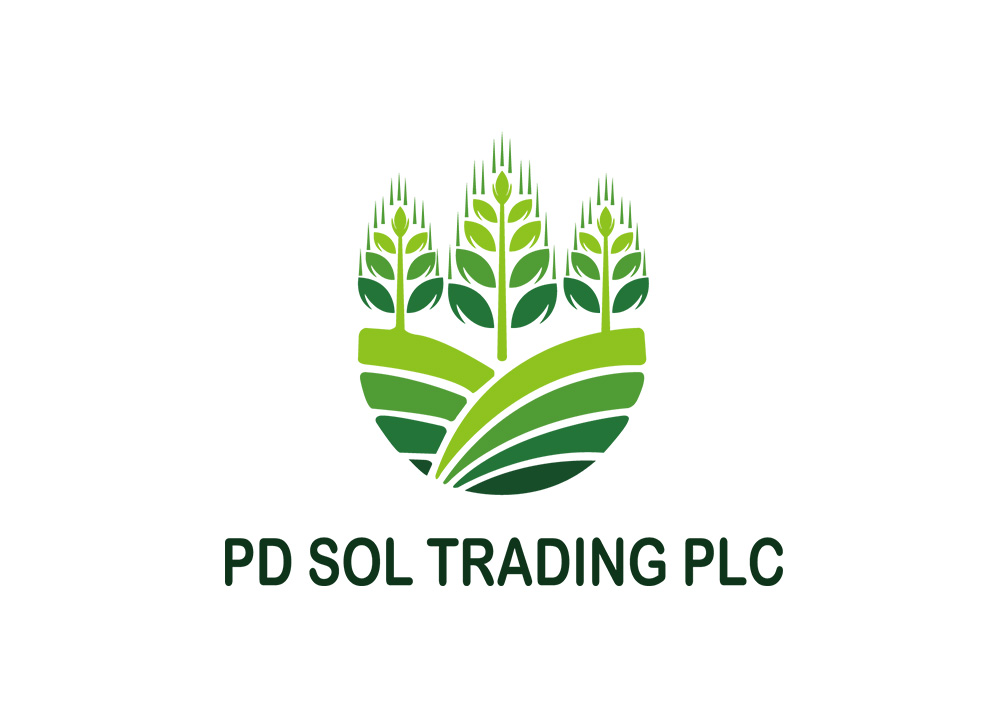 PD SOL標(biāo)識設(shè)計(jì)