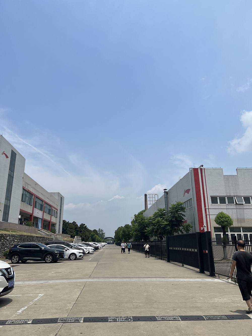 廠區(qū)主干道 廠區(qū)主干道