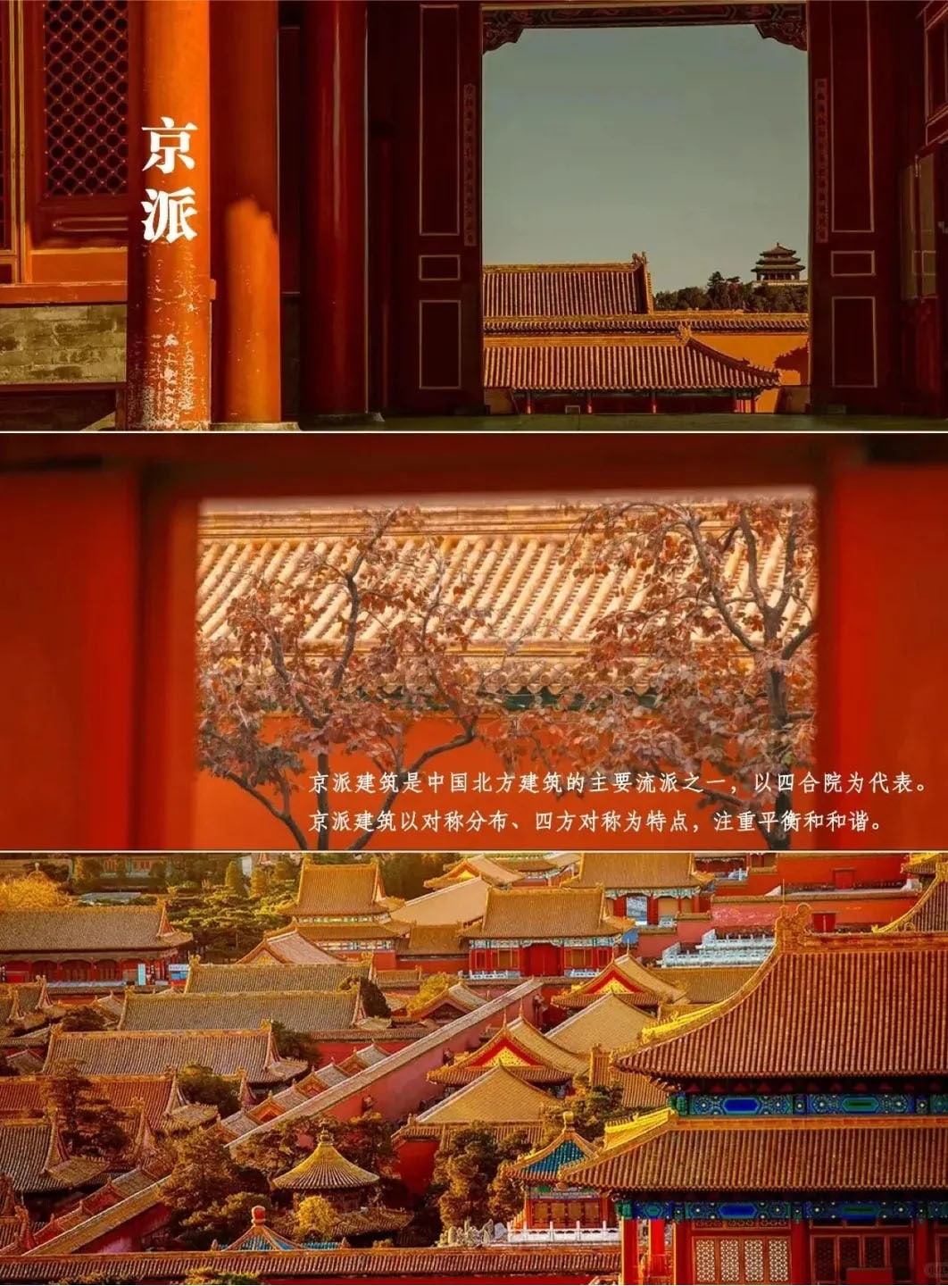 1721629754193691.jpg 2.jpg