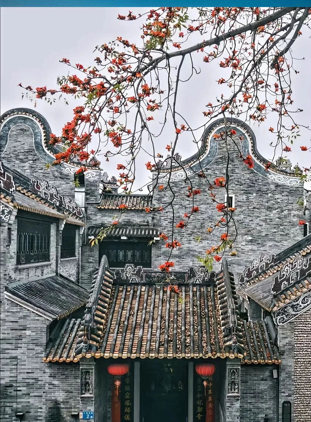 1721629780182515.jpg 5.jpg