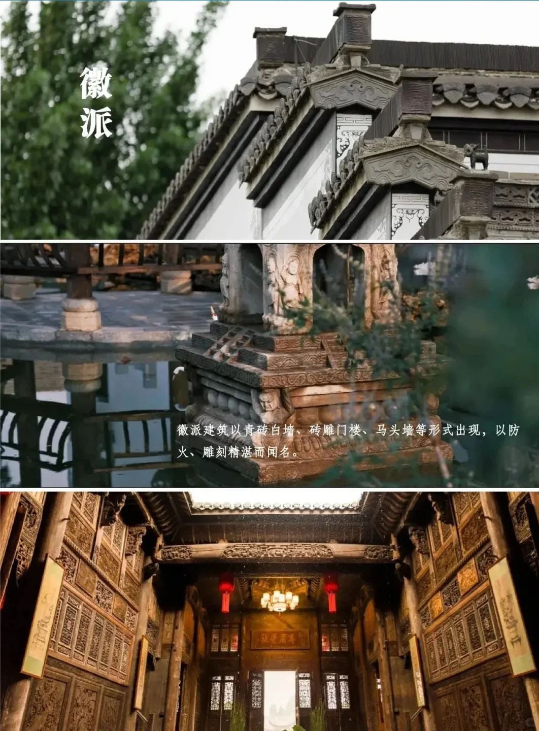 1721629787137729.jpg 6.jpg