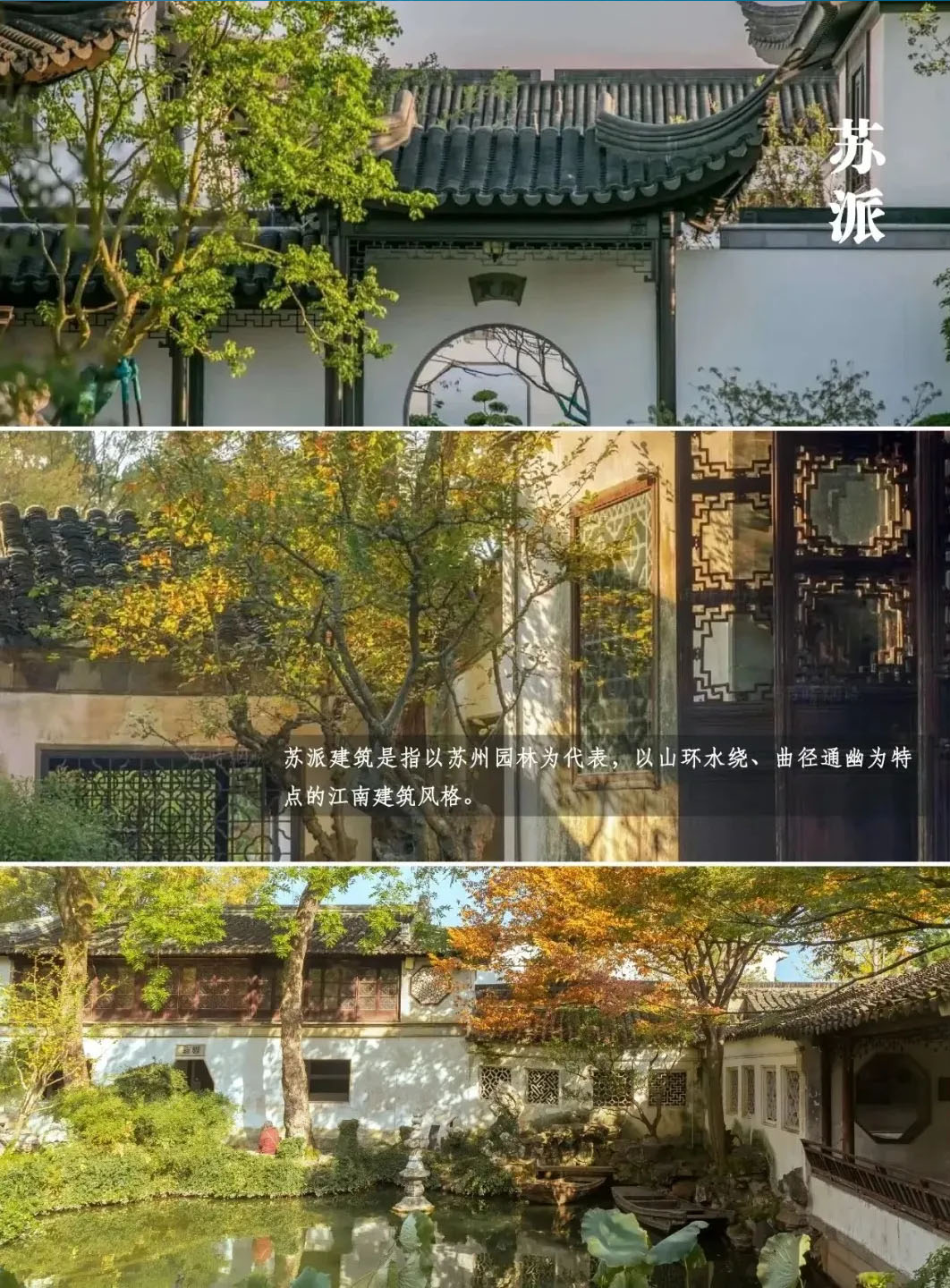 1721629796121748.jpg 8.jpg