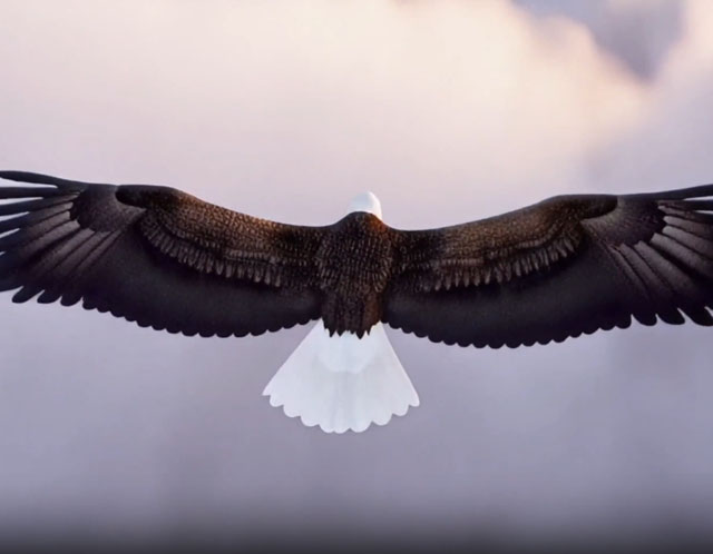 鷹美（荊門）數(shù)字化智能工廠宣傳片